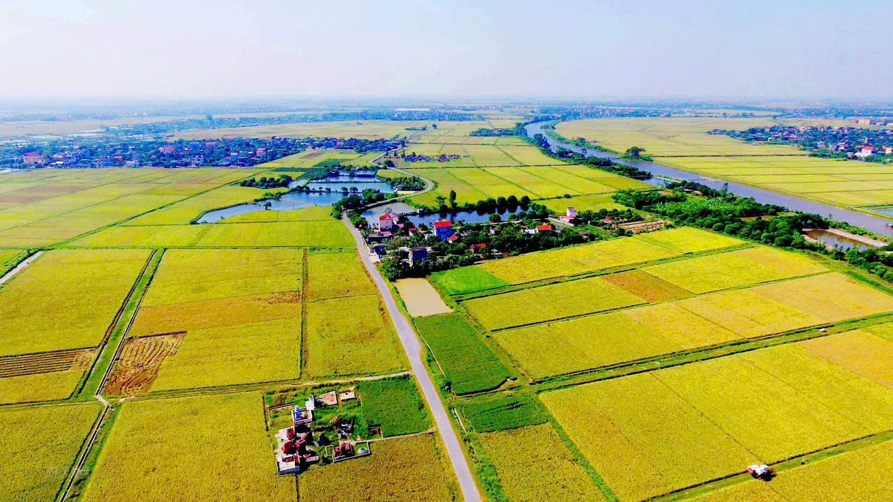 'Tranh cãi' về đề xuất điều chỉnh giá đất nông nghiệp bằng 65%...