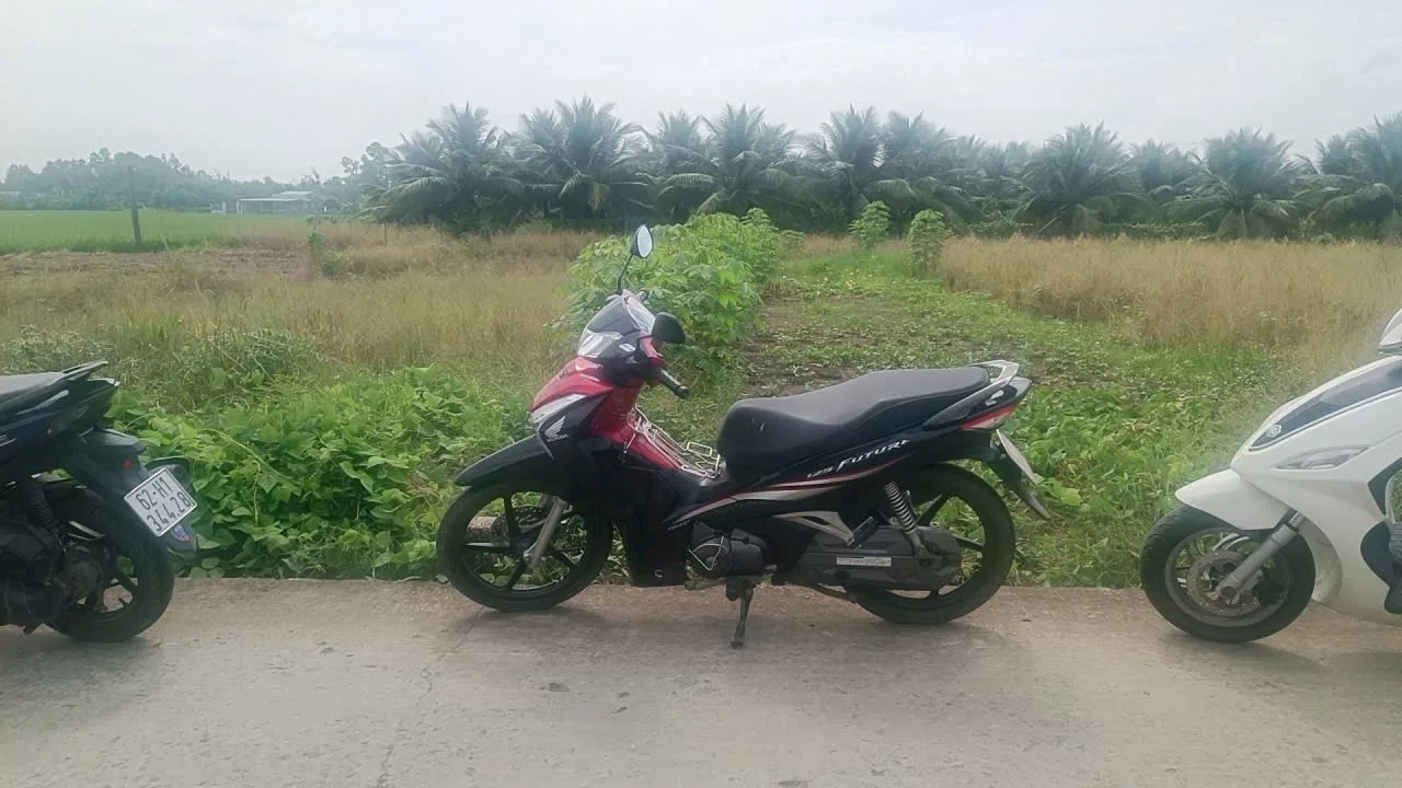 ẤP 3 LẠC TẤN TÂN TRỤ LA - Ảnh 2
