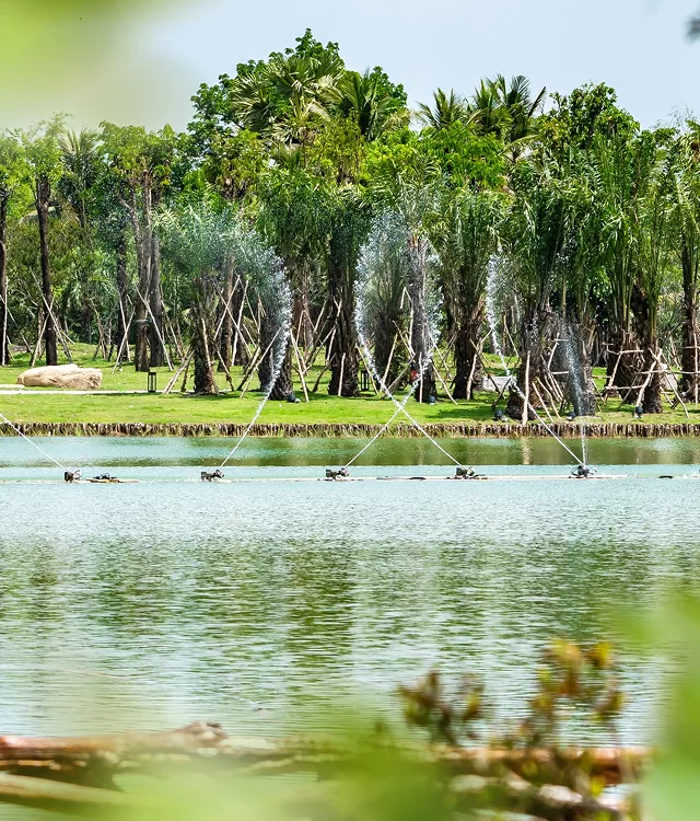 Eco Retreat - Ảnh 4