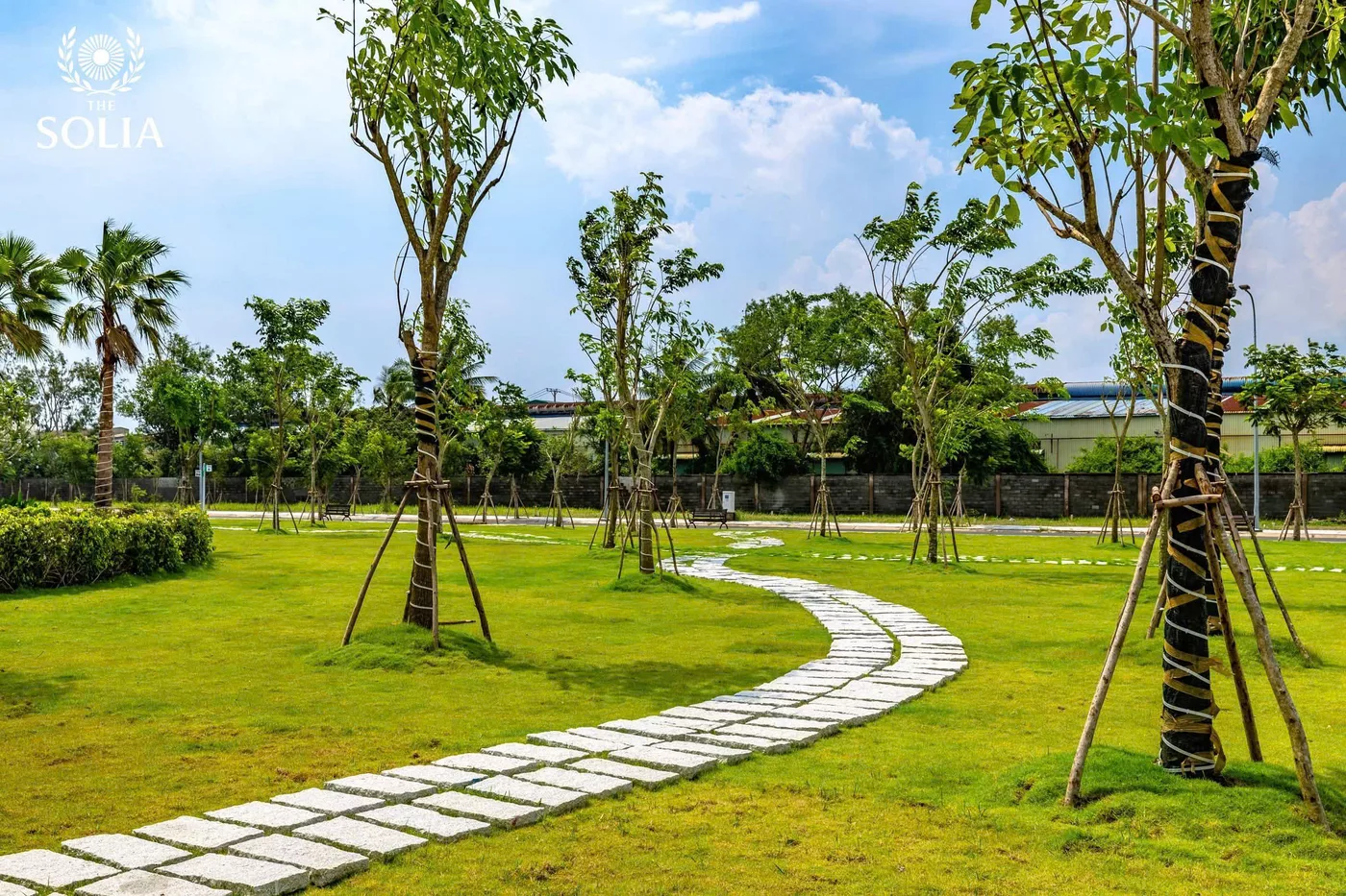 THE SOLIA - Ảnh 2