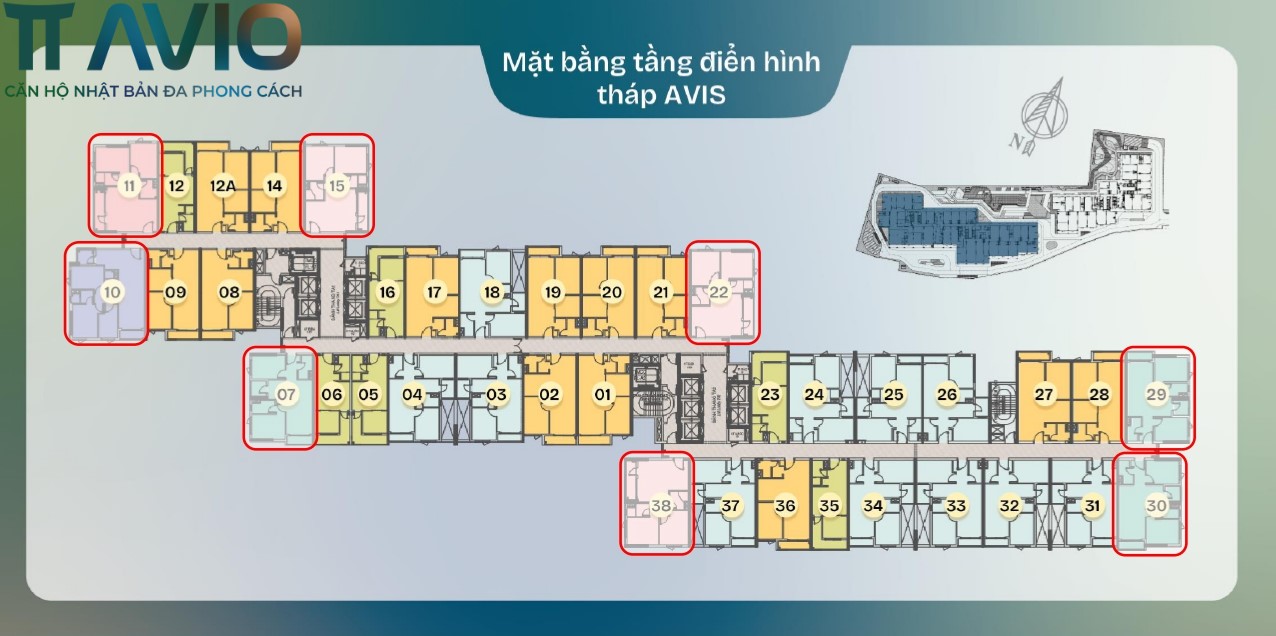 Mặt bằng tầng điển hình block Avis của tt avio